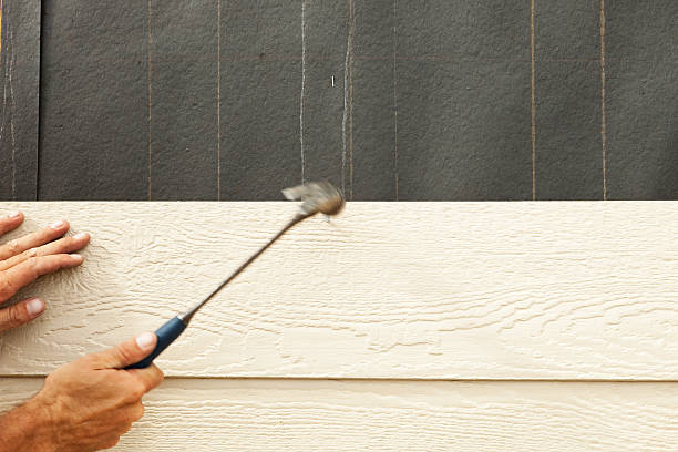 Best Engineered Wood Siding  in Little Silver, NJ